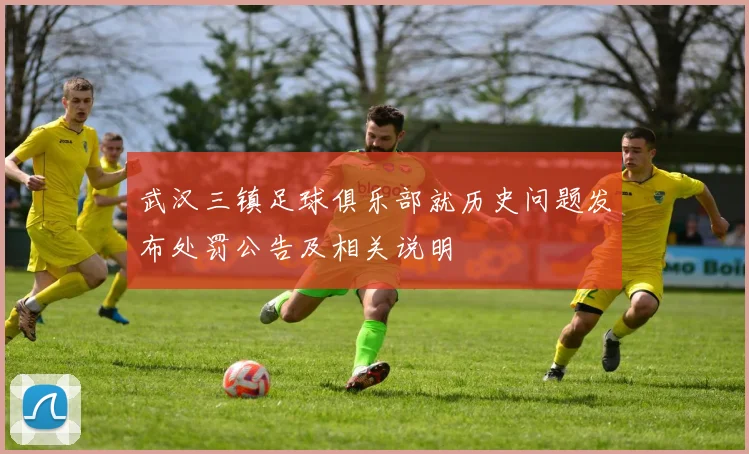 武汉三镇足球俱乐部就历史问题发布处罚公告及相关说明