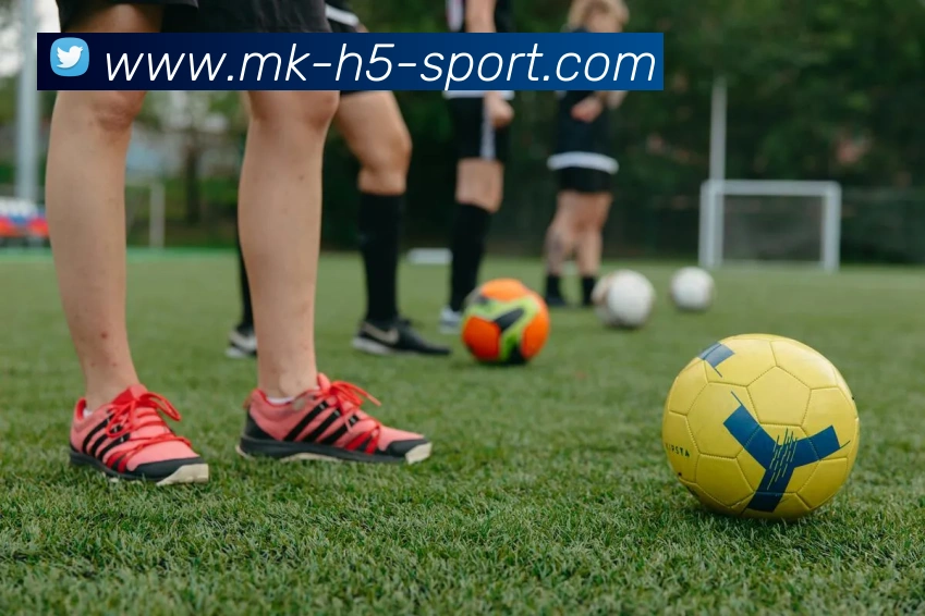 MK体育APP 高清赛事图